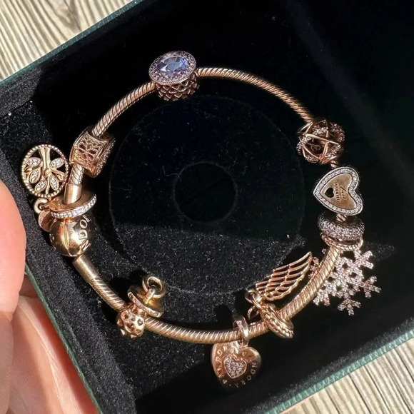 Pandora Limited edition Rose Gold bracelet set 10 charms,Very Rare to find - Picture 12 of 16